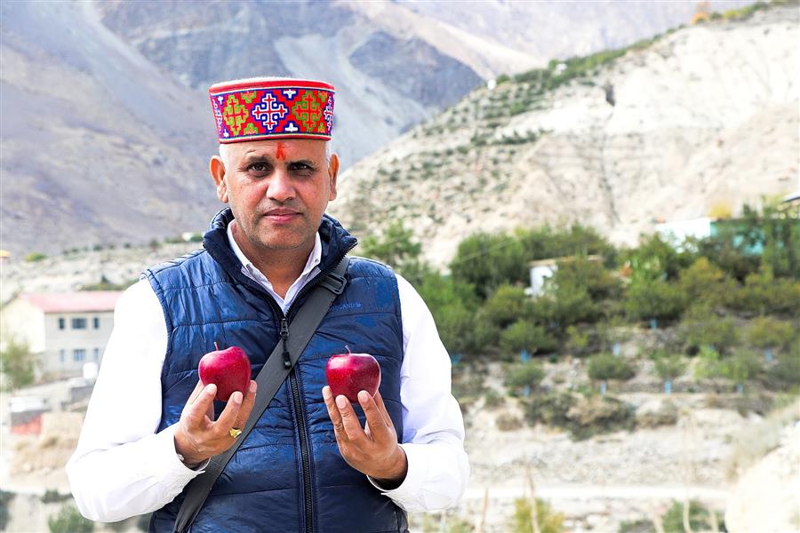 अनुभव और मेहनत की मिशाल हिमाचल एग्रीकल्चर इनपुट