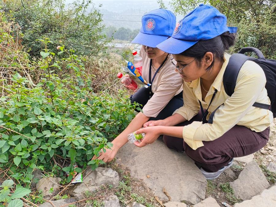 सीयू के एनएसएस स्वयंसेवकों ने आदि हिमानी चामुंडा में लोगों को स्वच्छता के प्रति किया जागरूक