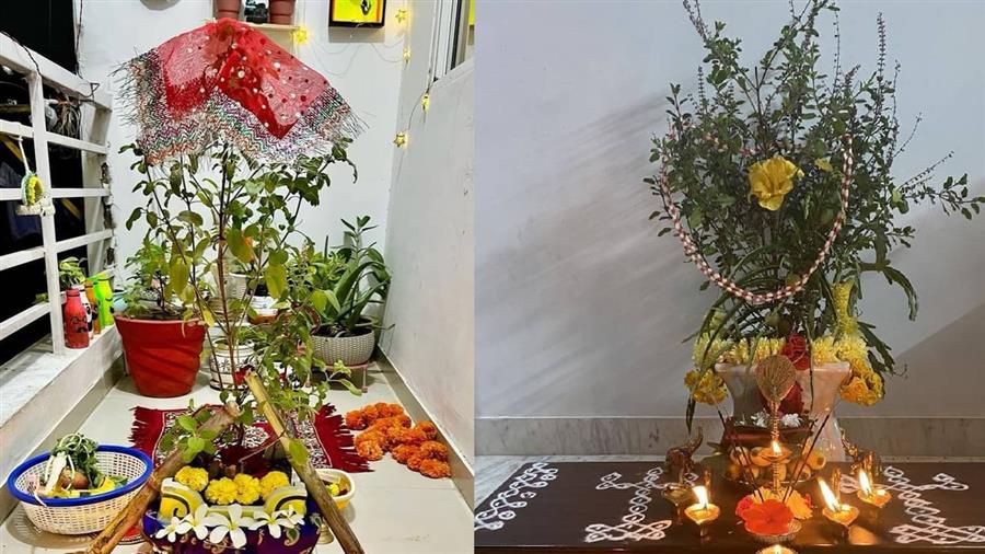  हर साल कार्तिक मास के शुक्ल पक्ष की द्वादशी तिथि को तुलसी विवाह मनाया जाता है