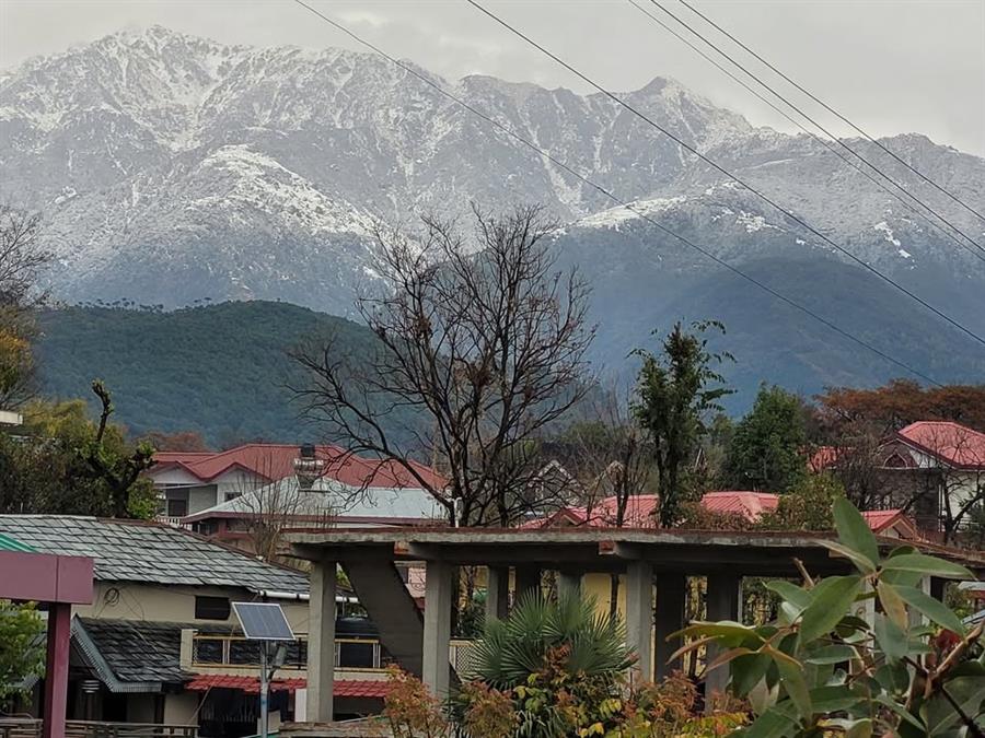 पालमपुर कभी कूहलों का क्षेत्र हुआ करता था देखते ही देखते बाबाओं का क्षेत्र बन गया 