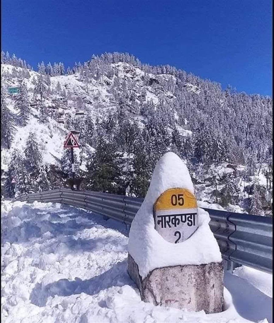 नारकंडा हिमाचल प्रदेश के शिमला जिले में स्थित एक शांत और खूबसूरत हिल स्टेशन है