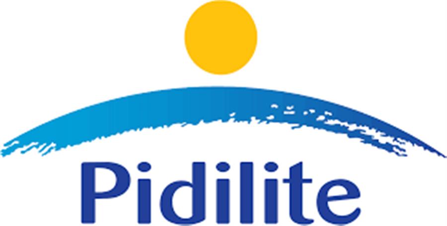 Pidilite Industries Limited to Set Up ₹300 Crore Adhesives & Waterproofing Manufacturing Facility in Punjab: Sanjeev Arora