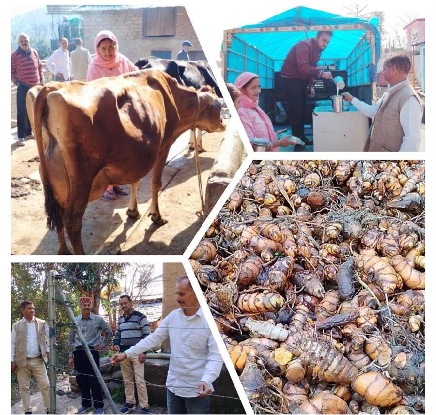 संगठन से संवरती किस्मत, 500 किसानों को मिली नई दिशा, गांव बना आत्मनिर्भर