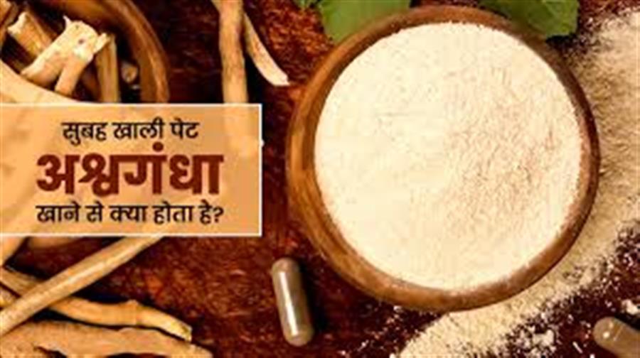 आयुर्वेद की 'रानी' जड़ी-बूटी अश्वगंधा