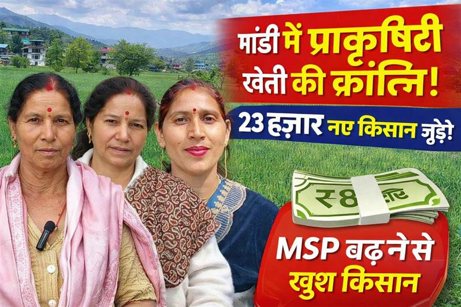 रंग लाने लगे ‘सुक्खू सरकार’ के प्रयासः प्राकृतिक खेती को प्रोत्साहन से जिला मंडी में जुड़े 23 हजार से अधिक नए किसान