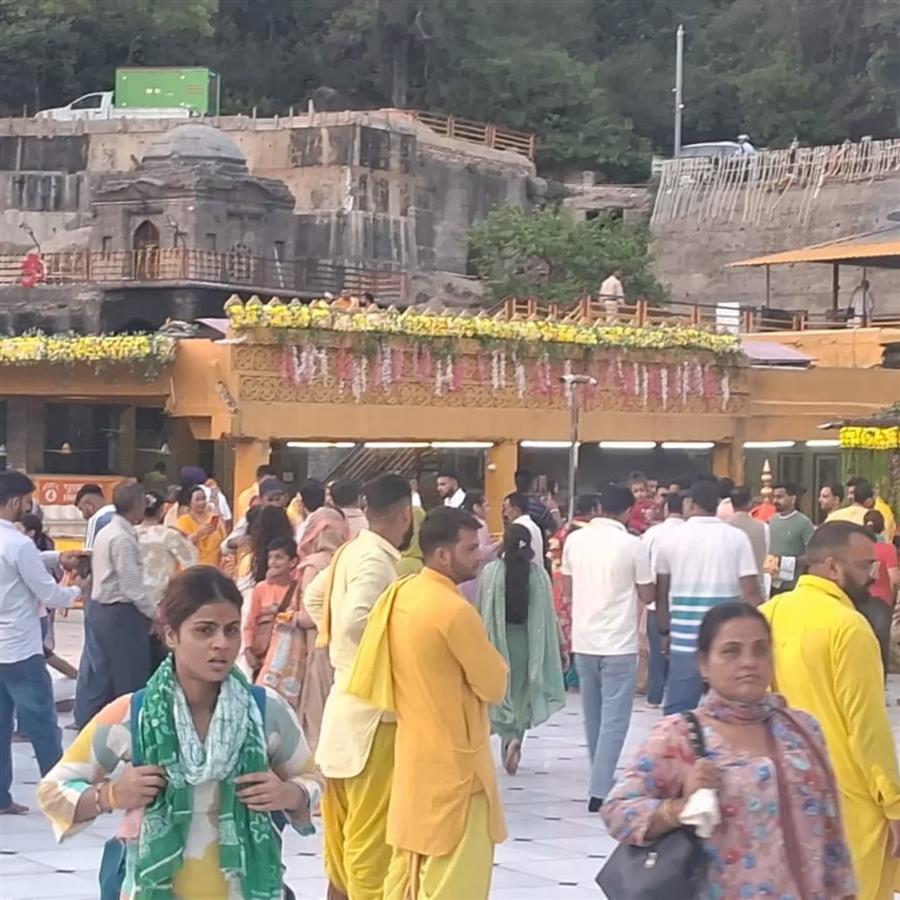Devotees Soak in Faith and Festivity on Baglamukhi Jayanti