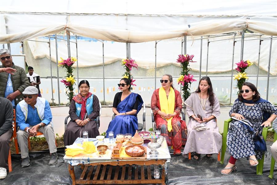 ब्लू बैरी होगी अब लाहौल के किसानों की नकदी फसल में शामिल, पहला प्रयास रहा सफल