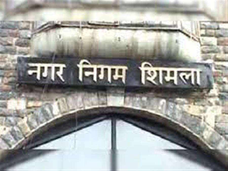 नगर निगम शिमला के चुनावों की मतगणना अब से कुछ देर बाद शुरू होगी