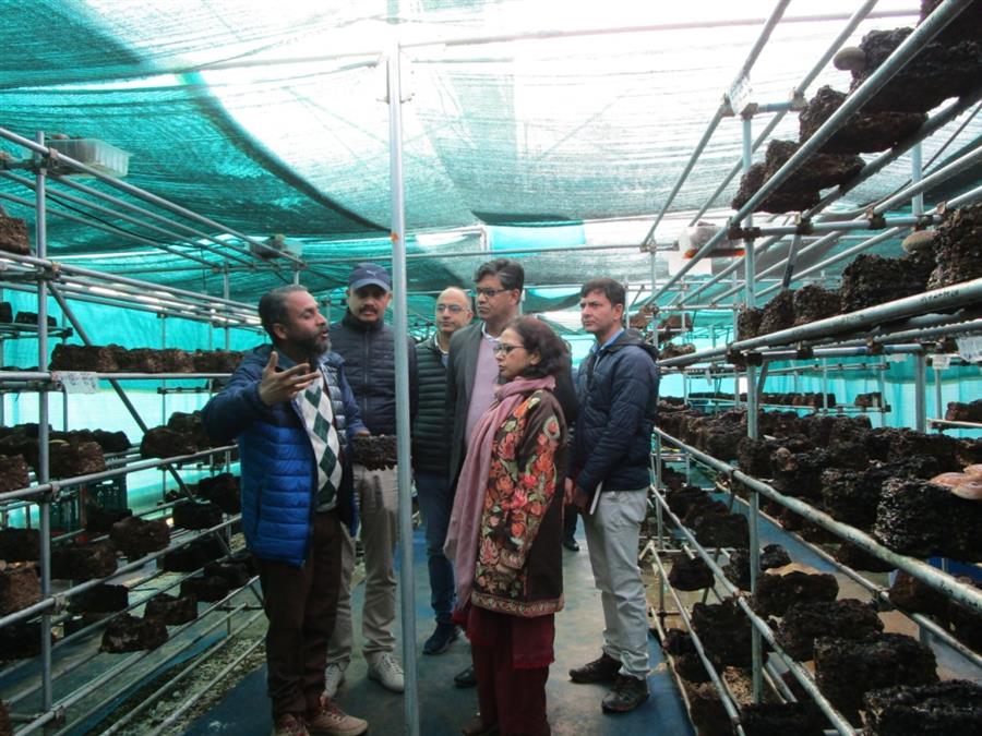 शिटाके मशरूम को पहचान दिलाने के लिए उठाए जाएंगे कारगर कदम: कुमुद