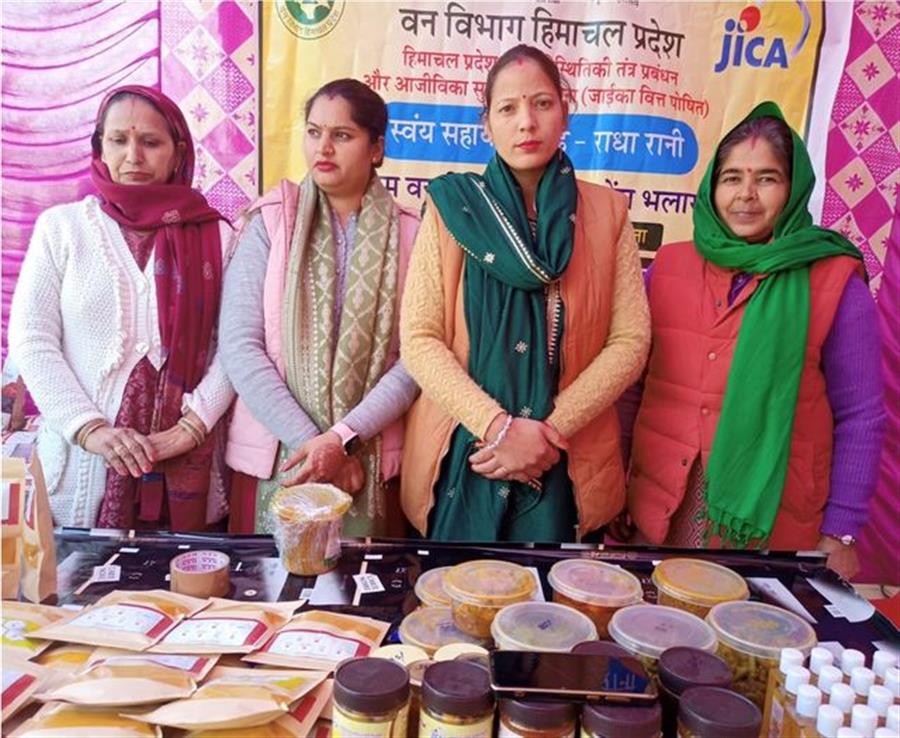 जाईका परियोजना से जुडक़र आर्थिकी को सुदृढ़ बना रही राधा रानी समूह की महिलाएं